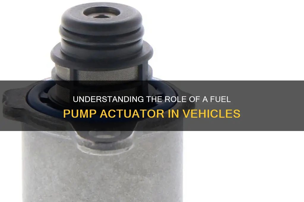 what is fuel pump actuator