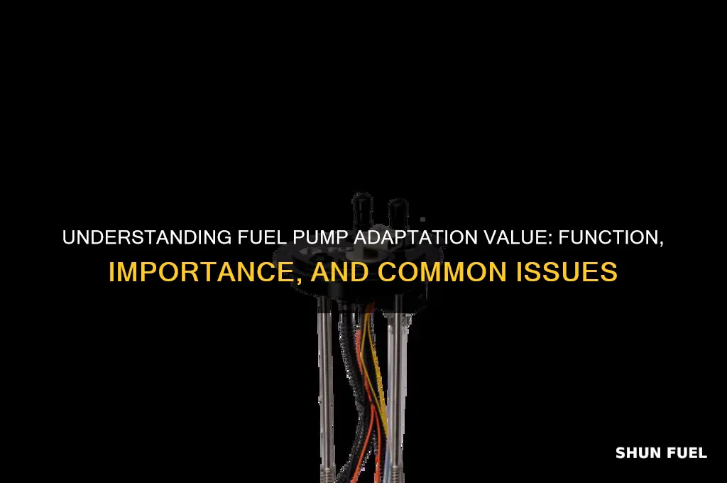 what is fuel pump adaptation vapue