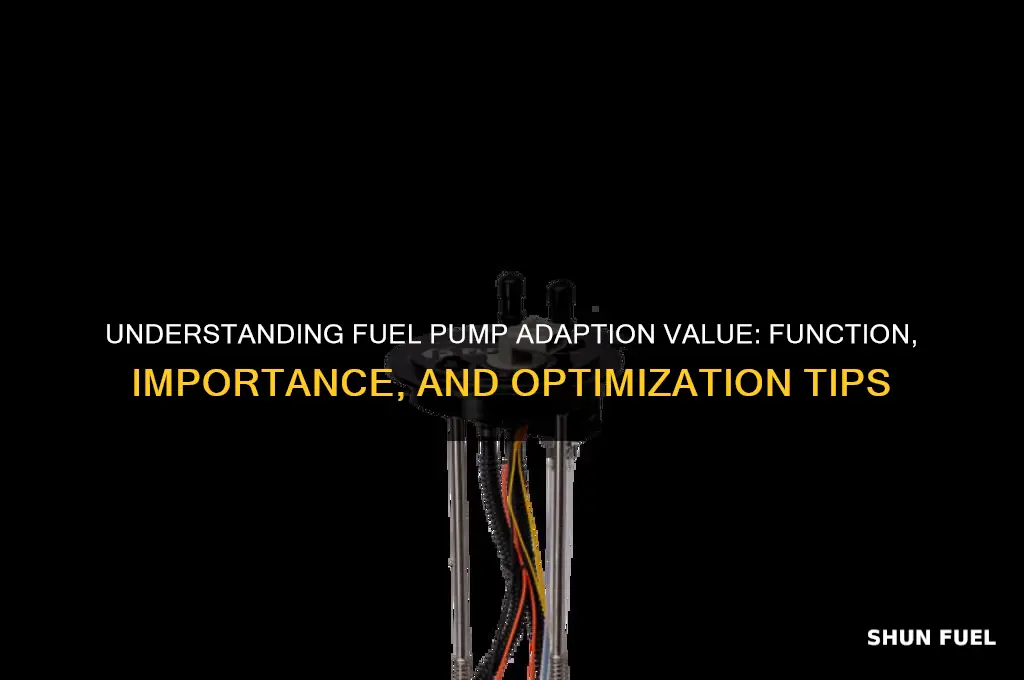 what is fuel pump adaption value
