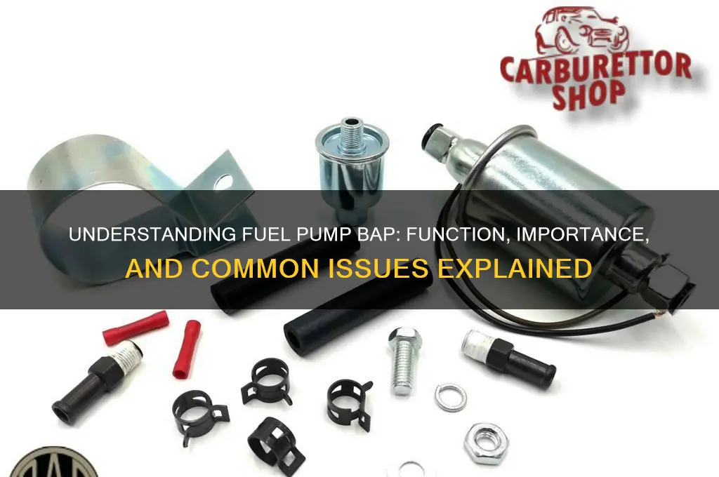 what is fuel pump bap