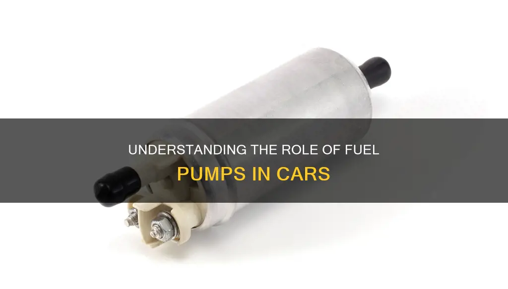 what is fuel pump in car