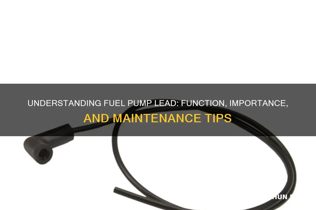 what is fuel pump lead