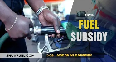 Understanding Fuel Subsidies: Definition, Impact, and Global Implications Explained