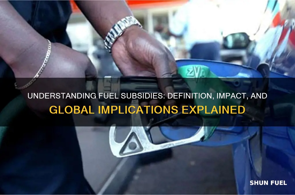 what is fuel subsidy