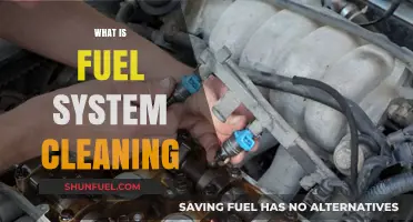 Revitalize Your Engine: Understanding Fuel System Cleaning Benefits