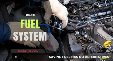 Understanding the Fuel System: Components, Functions, and Maintenance Tips