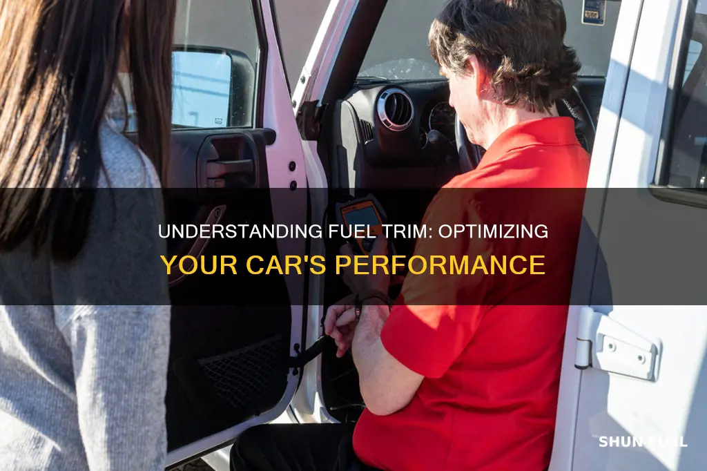 what is fuel trim on a car