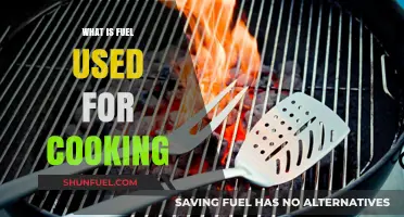 Exploring Cooking Fuels: Types, Uses, and Sustainable Alternatives