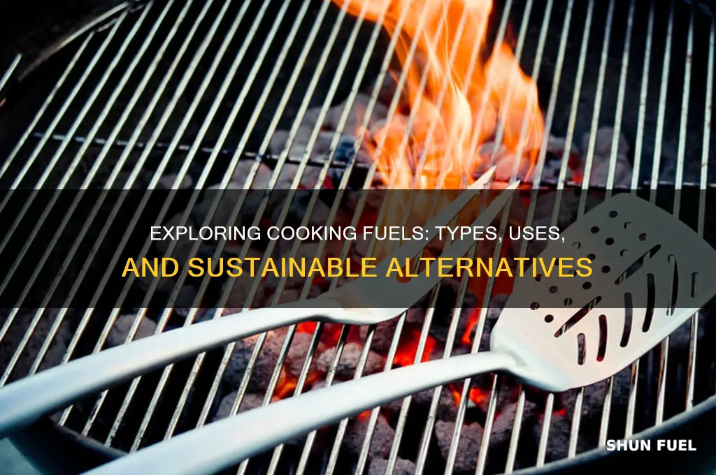 what is fuel used for cooking