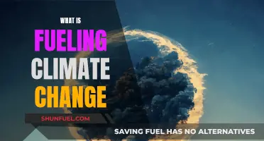 Climate Change: The Fuel Behind the Fire