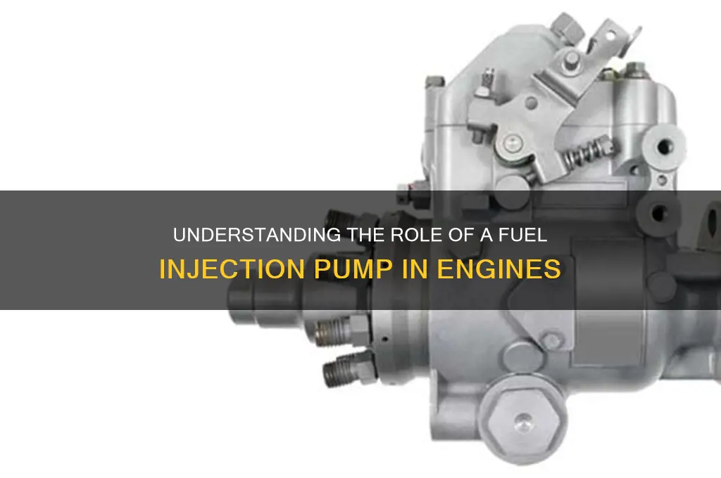 what is function of fuel injection pump
