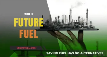 Exploring Future Fuel: Sustainable Energy Alternatives for a Greener Tomorrow