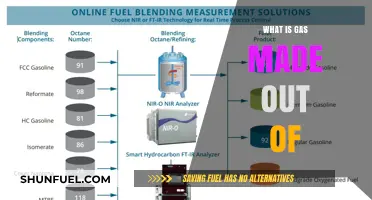 Unveiling the Mysteries: What's Really Inside Your Gas Tank?