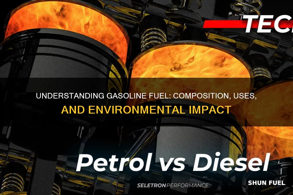 what is gasoline fuel