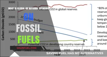 Global Fossil Fuel Spending: Uncovering National and Worldwide Investment Trends