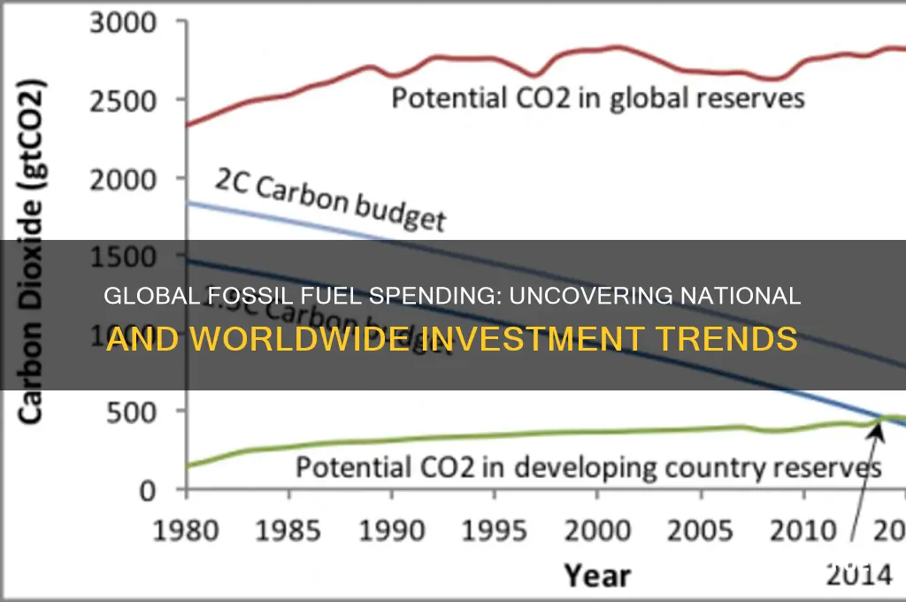 what is global or national spending on fossil fuels