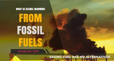 Fossil Fuels and Global Warming: Understanding the Climate Crisis