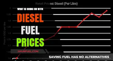 Diesel Fuel Prices: What's Behind the Surge?