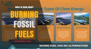 The Surprising Benefits of Burning Fossil Fuels: Energy, Economy, and Beyond