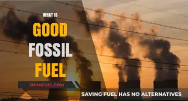 Understanding the Role and Impact of Fossil Fuels in Energy