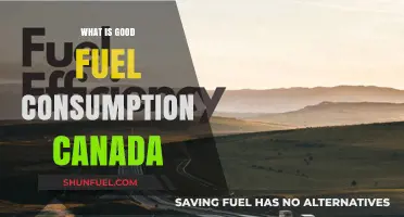 Understanding Good Fuel Consumption Standards in Canada: A Comprehensive Guide