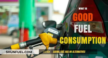 Understanding Efficient Fuel Consumption: Tips for Optimal Vehicle Performance