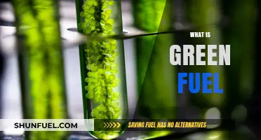 Understanding Green Fuel: Eco-Friendly Energy for a Sustainable Future