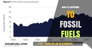 The Decline of Fossil Fuels: A Global Energy Transition Unfolds