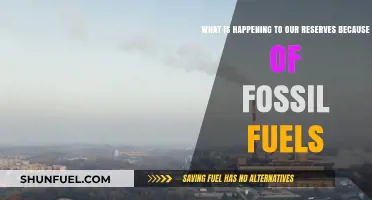 Fossil Fuels' Impact: Depleting Our Natural Reserves at an Alarming Rate