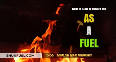 The Hidden Environmental and Health Harms of Burning Wood as Fuel