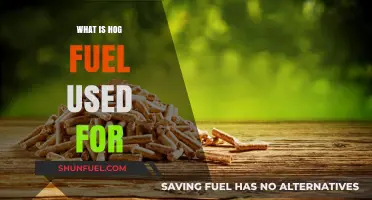 Discovering Hog Fuel: Uses, Benefits, and Applications Explained