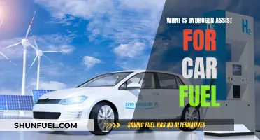 Hydrogen Assist: The Green Car Fuel Revolution