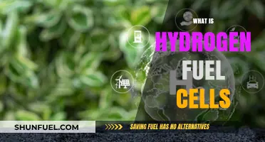 Understanding Hydrogen Fuel Cells: Clean Energy for a Sustainable Future