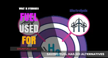 Hydrogen Fuel Applications: Powering Transportation, Industry, and Clean Energy Solutions