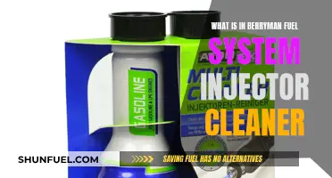 Berryman Fuel System Injector Cleaner: What's Inside?