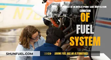 Fuel System Multi-Point Inspection: What to Expect