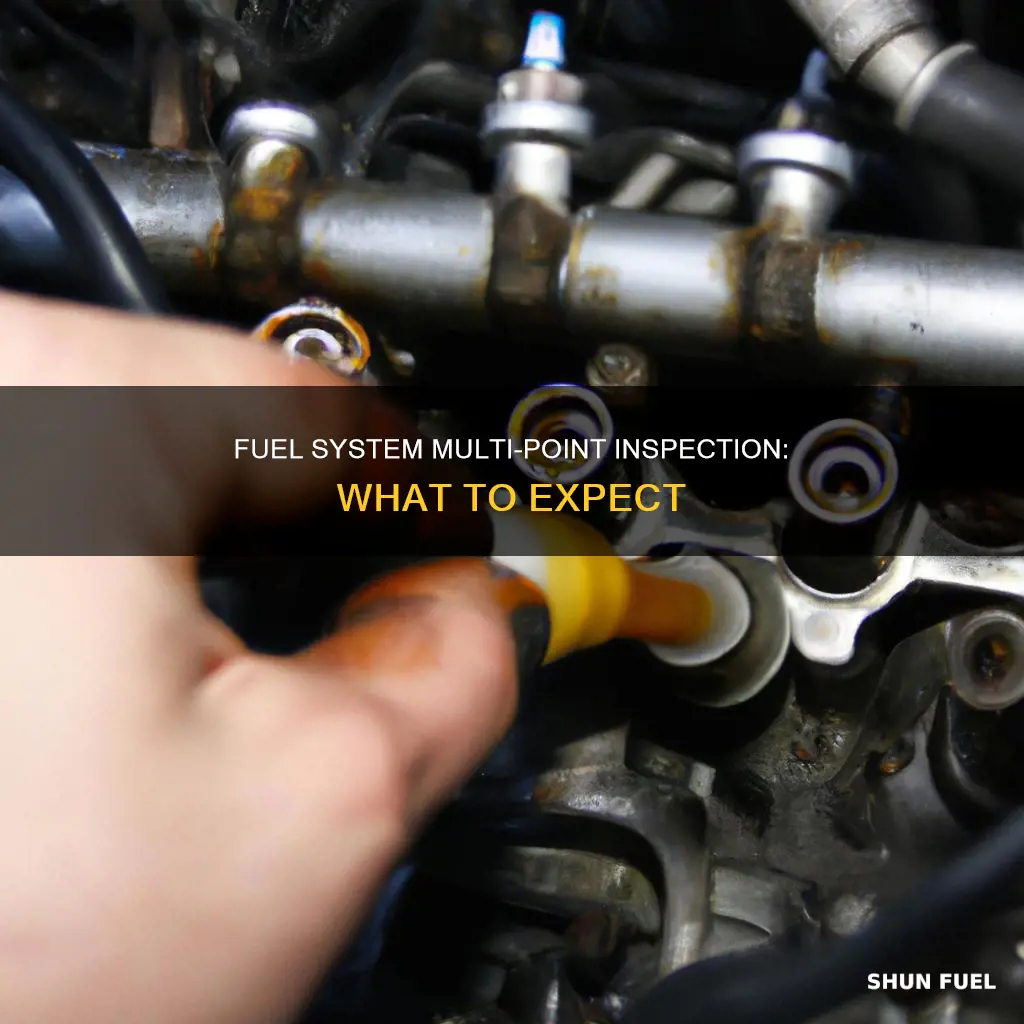 what is in multi-point car inspection condition of fuel system