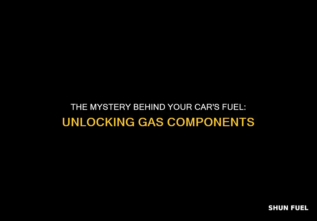 what is in the gas that fuels my car