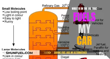 The Mystery Behind Car Oil: What's Inside?