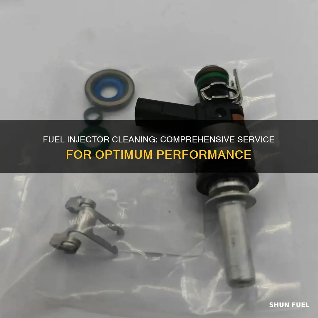 what is included in a fuel injector cleaning