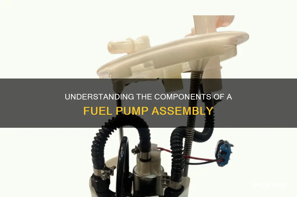what is included in a fuel pump assembly