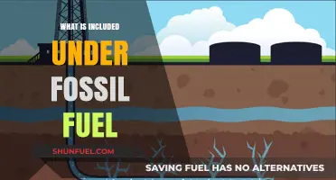 Understanding Fossil Fuels: Coal, Oil, and Natural Gas Explained