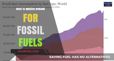 Understanding Induced Demand: How Fossil Fuel Consumption Perpetuates Itself