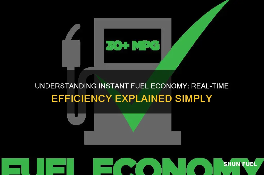what is instant fuel economy