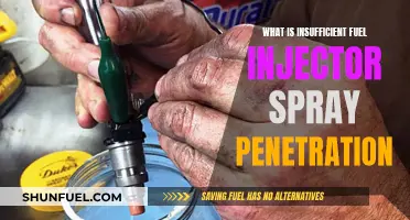 Fuel Injector Spray Penetration: Insufficient, Why and How to Fix It
