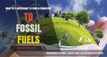 Why We Urgently Need Sustainable Alternatives to Fossil Fuels