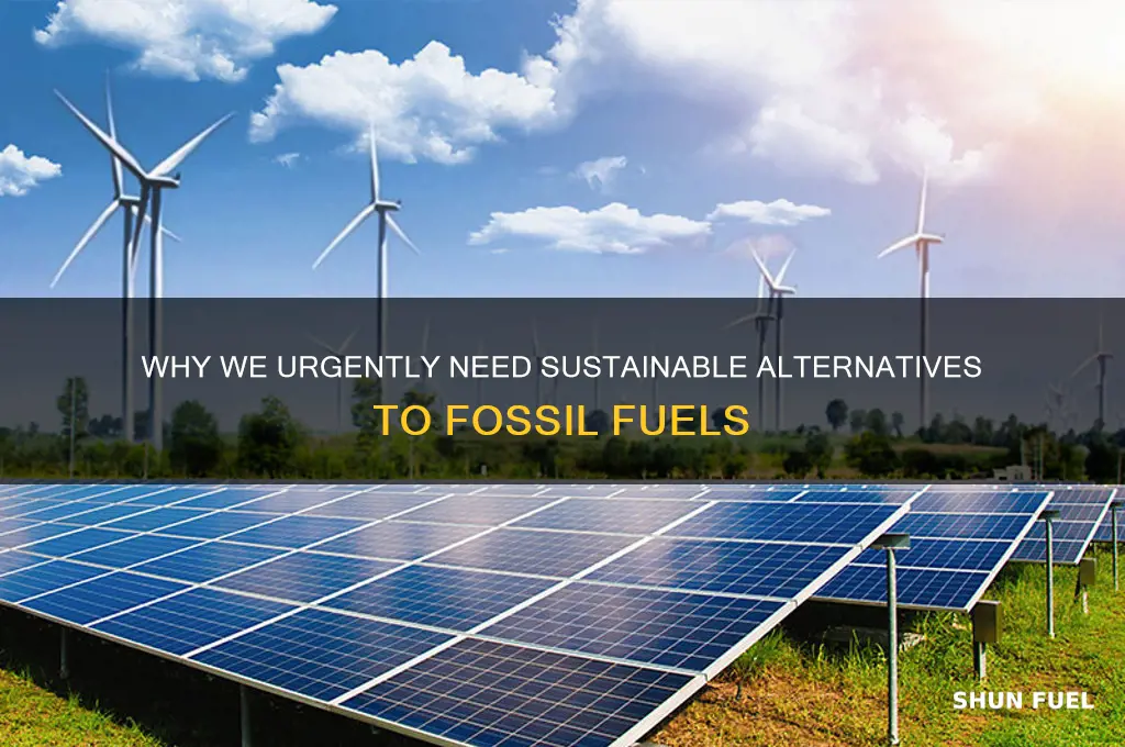 what is it necessary to find alternatives to fossil fuels