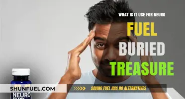 Neuro Fuel Buried Treasure: Unlocking Brain Power Benefits