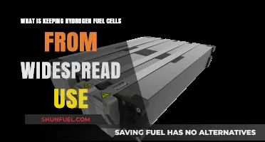 Hydrogen Fuel Cells: Barriers to Mainstream Adoption and Solutions