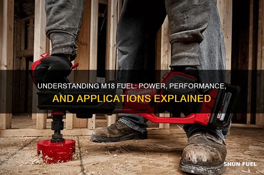 what is m18 fuel
